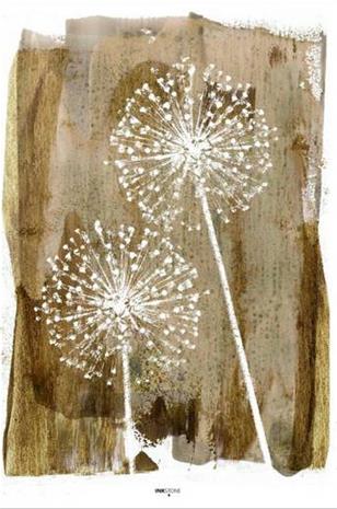 Juliste White Dandelion – kuva 5/5