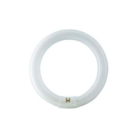 Philips G10q 40W 840 Pyöreä loistel. Master Circular TL-E