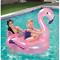 Bestway Uimalautta flamingo 127cm – kuva 1