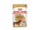 Royal Canin Dachshund Adult 12x85g, Adult (animal), Mäyräkoira, Vihannes, 85 g – kuva 1