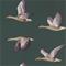 Elysian Geese - 216608" "Tapetti – kuva 5