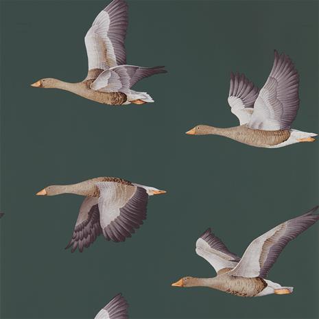 Elysian Geese - 216608" "Tapetti