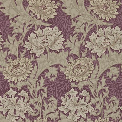Chrysanthemum - 212548" "Tapetti