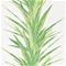 Yucca - 216649" "Tapetti – kuva 6