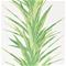 Yucca - 216649" "Tapetti – kuva 7