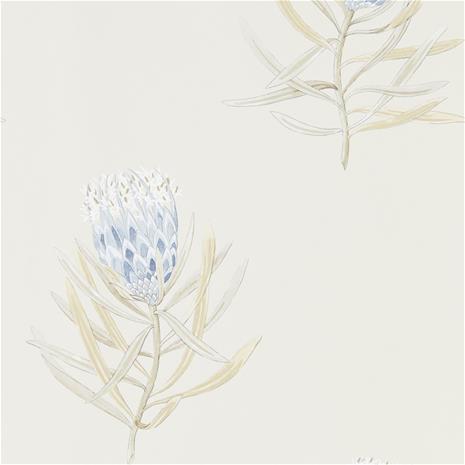 Protea Flower - 216327" "Tapetti