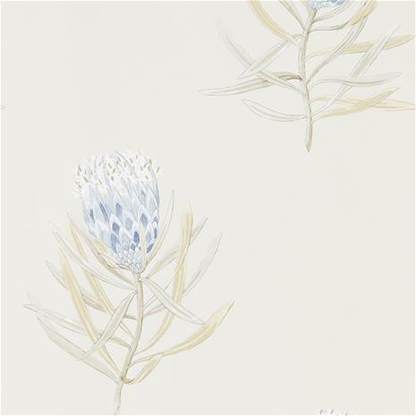 Protea Flower - 216327" "Tapetti