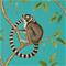 Ringtailed Lemur - 216663" "Tapetti – kuva 6