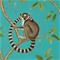Ringtailed Lemur - 216663" "Tapetti – kuva 7