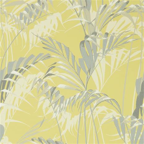 Palm House - 216642" "Tapetti