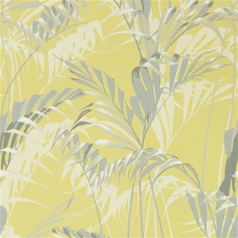 Palm House - 216642" "Tapetti