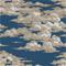 Silvi Clouds - 216602" "Tapetti – kuva 6
