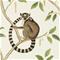 Ringtailed Lemur - 216664" "Tapetti – kuva 6