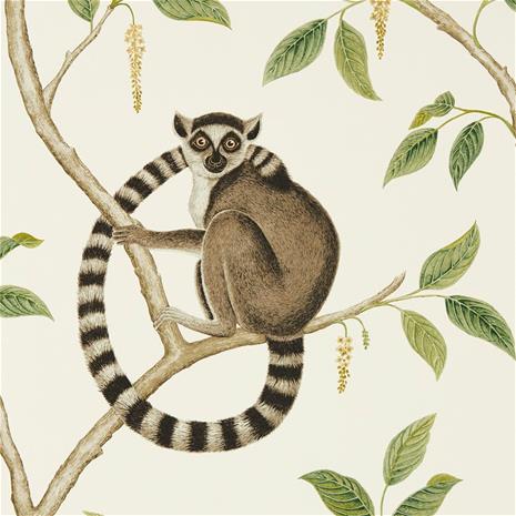Ringtailed Lemur - 216664" "Tapetti