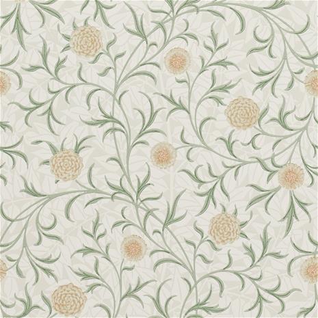 Scroll - 210365" "Tapetti
