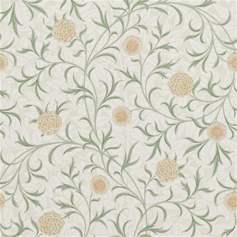 Scroll - 210365" "Tapetti
