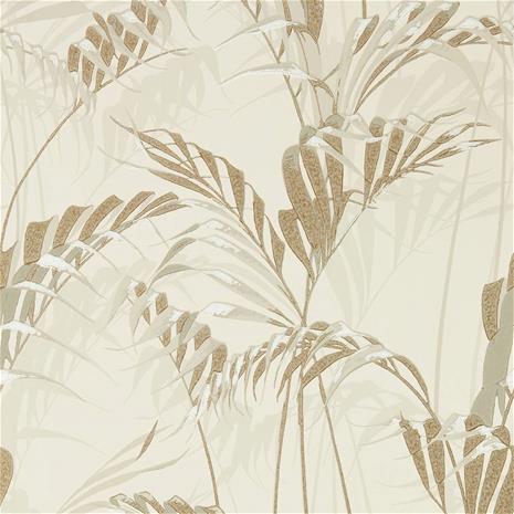 Palm House - 216644" "Tapetti