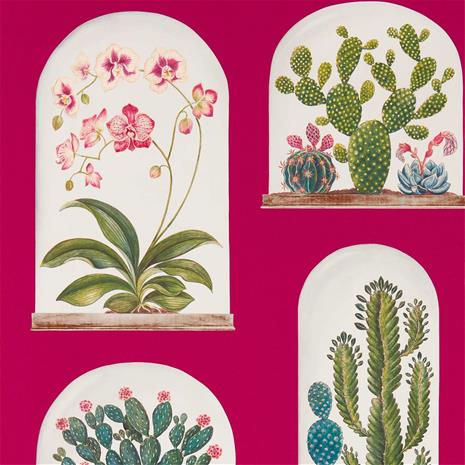 Terrariums - 216657" "Tapetti