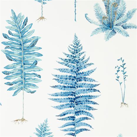 Fernery - 216635" "Tapetti