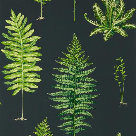 Fernery - 216634" "Tapetti