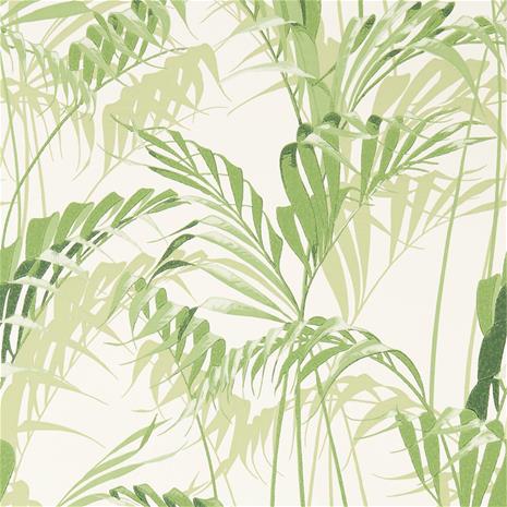 Palm House - 216643" "Tapetti