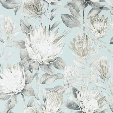 King Protea - 216645" "Tapetti