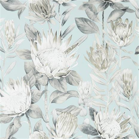 King Protea - 216645" "Tapetti