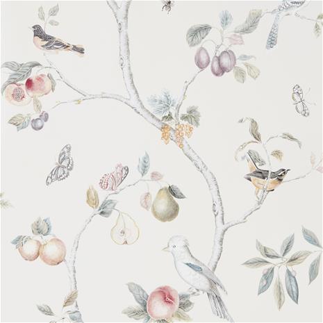 Fruit Aviary - 216314" "Tapetti