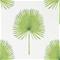 Fan Palm - 216636" "Tapetti – kuva 6