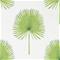 Fan Palm - 216636" "Tapetti – kuva 7