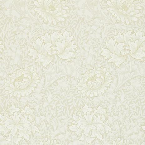 Chrysanthemum - 212546" "Tapetti