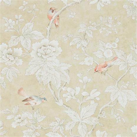 Chiswick Grove - 216385" "Tapetti