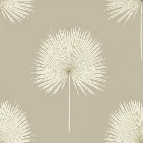 Fan Palm - 216637" "Tapetti