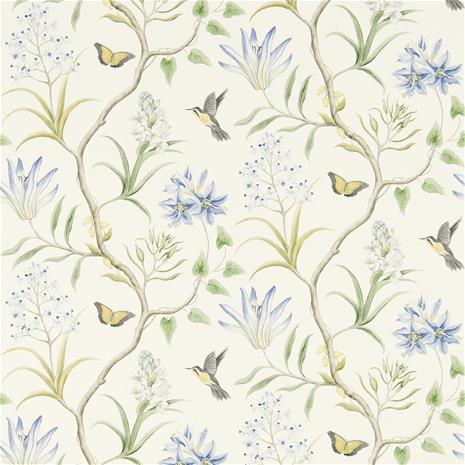 Clementine - 213389" "Tapetti