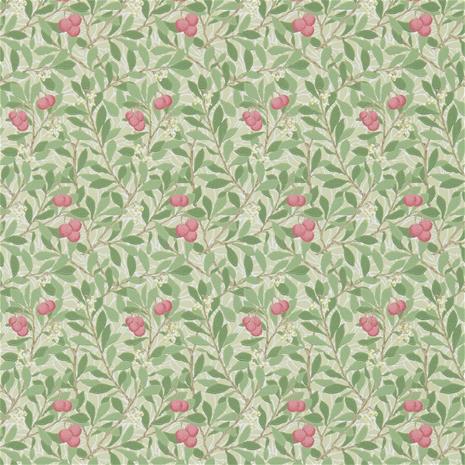 Arbutus - DM3W214720" "Tapetti