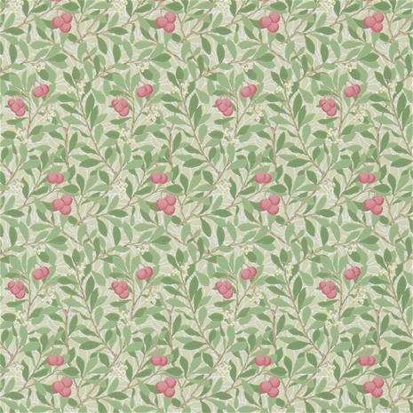 Arbutus - DM3W214720" "Tapetti