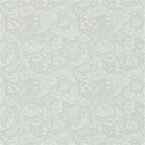 Bachelors Button - DM3W214738" "Tapetti
