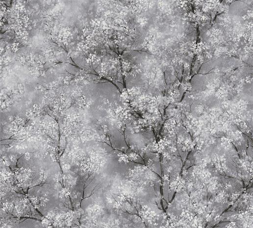 New Walls - 37420-1 Tapetti