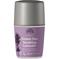 Urtekram Soothing Lavender Deo - 50 ml – kuva 1
