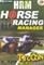Horse Racing Manager, PC-peli – kuva 1