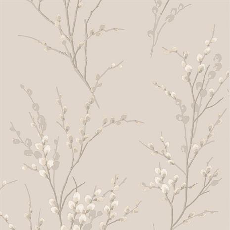 Pussy Willow - 113361 Tapetti – kuva 1/3