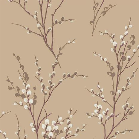 Pussy Willow - 113358 Tapetti – kuva 1/3