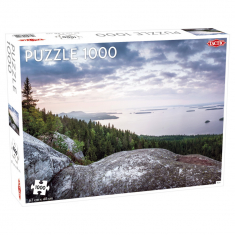 Tactic Koli -palapeli, 1000 palaa