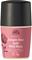 Urtekram Soft Wild Rose Deo - 50 ml – kuva 8
