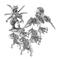 Nemesis: Alien Kings Lautapeli – kuva 3