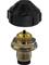thumb35358290