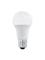 EGLO E27 LED A60 9W 3000K OPAL – kuva 1