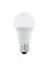 EGLO E27 LED A60 9W 4000K OPAL – kuva 1