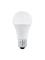 EGLO E27 LED A60 13W 3000K OPAL – kuva 1
