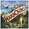 Maracaibo Lautapeli – kuva 6
